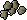 Celastrus seed